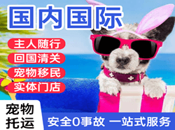 兴东机场邮寄国际宠物托运 【国
